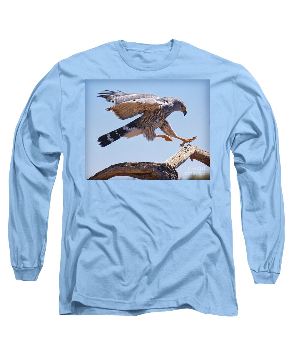 Grey Hawk Long Sleeve T-Shirt featuring the photograph Grey Hawk Alights by Martin Konopacki