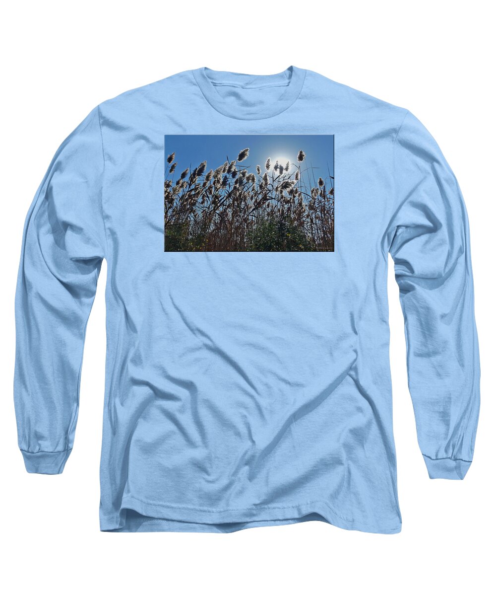 Plants Long Sleeve T-Shirt featuring the photograph Lakeside plants by Mikki Cucuzzo
