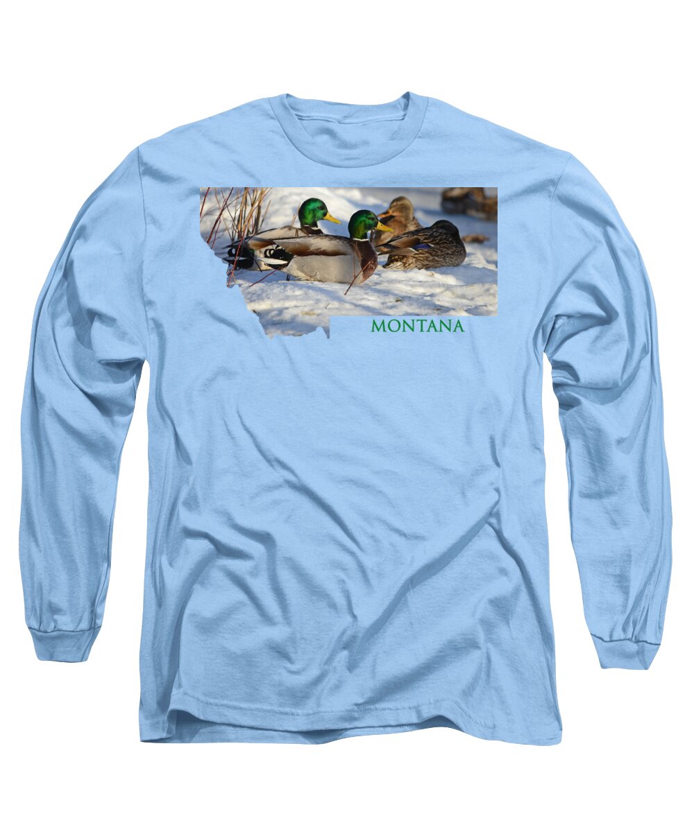 Mallard Long Sleeve T-Shirt featuring the photograph Mallard Montana by Whispering Peaks Photography