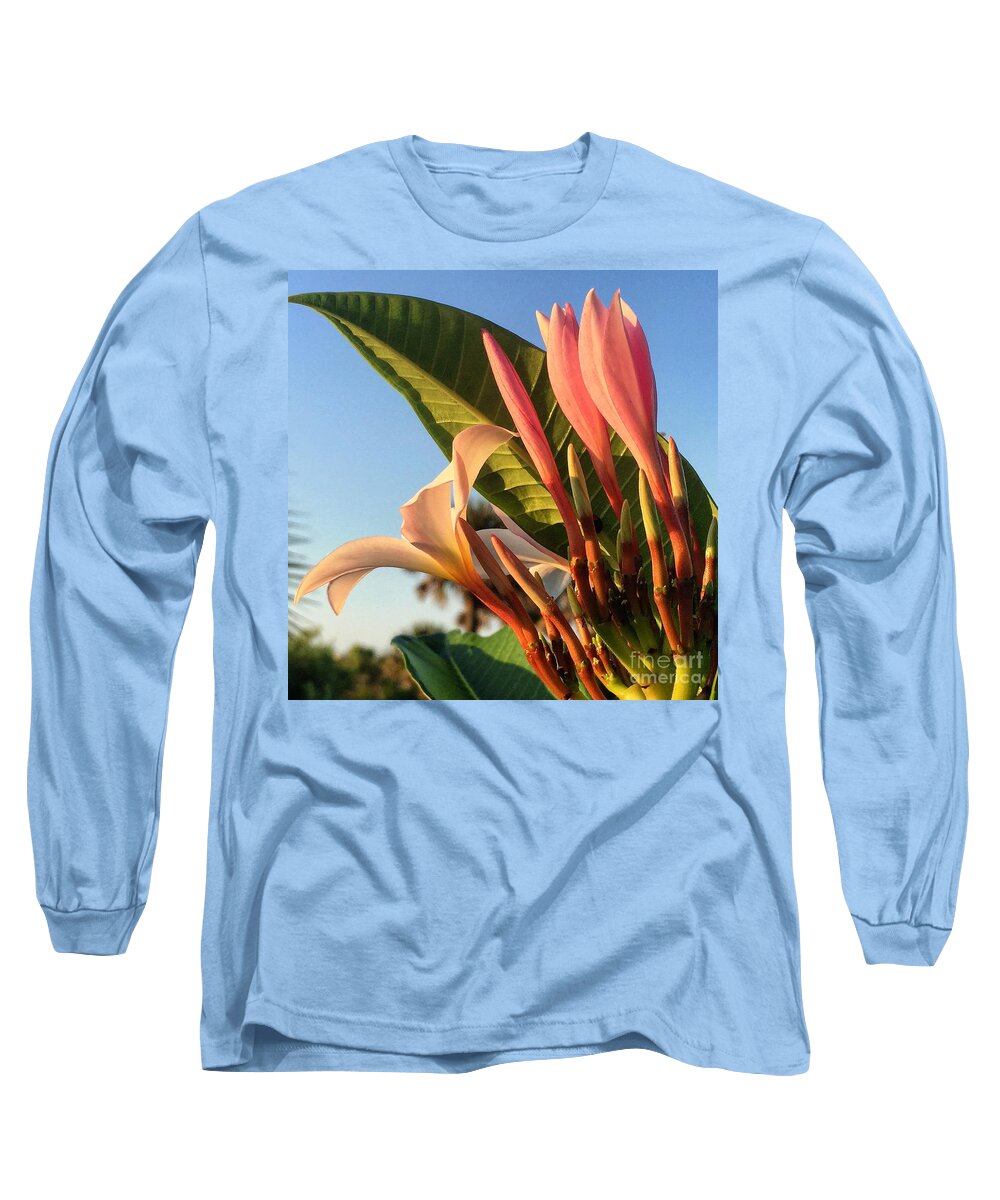 Plumeria Long Sleeve T-Shirt featuring the photograph Morning Heaven by LeeAnn Kendall