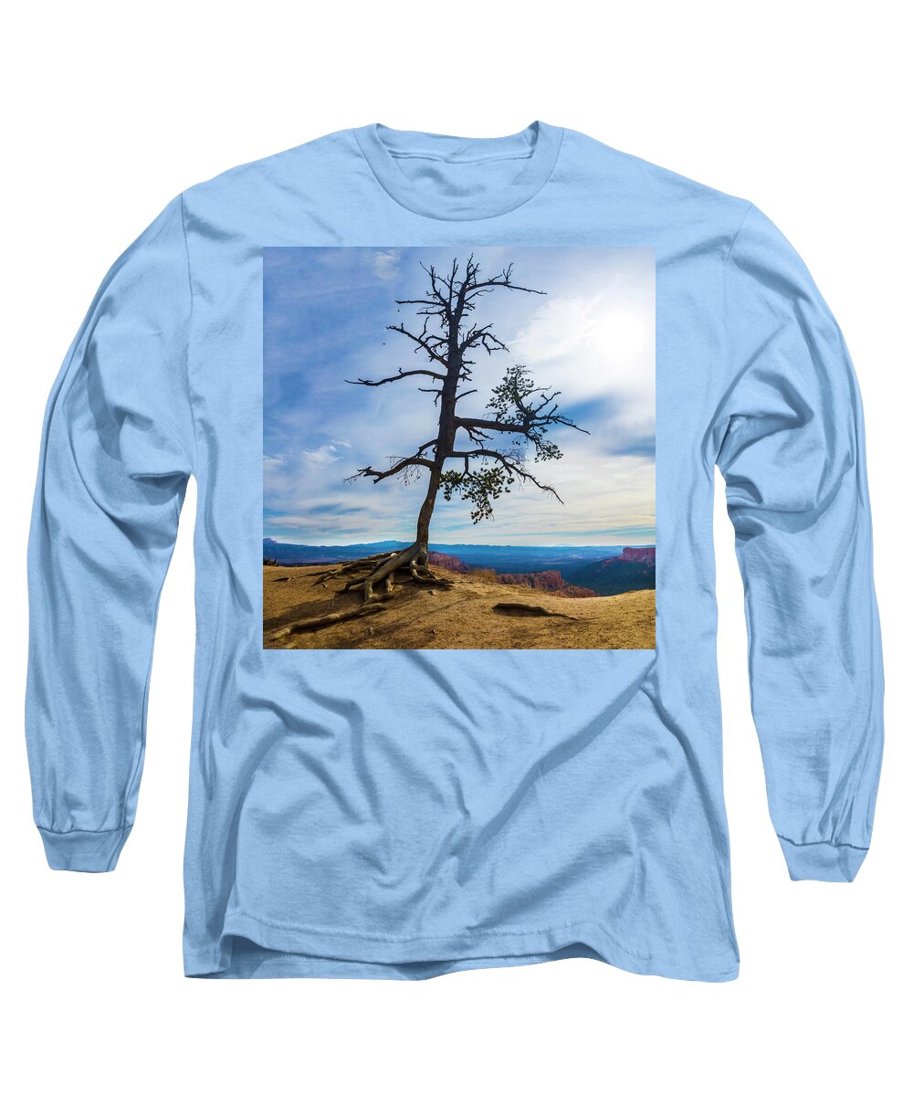 Tree Long Sleeve T-Shirt featuring the photograph My Tree by Cathy Donohoue