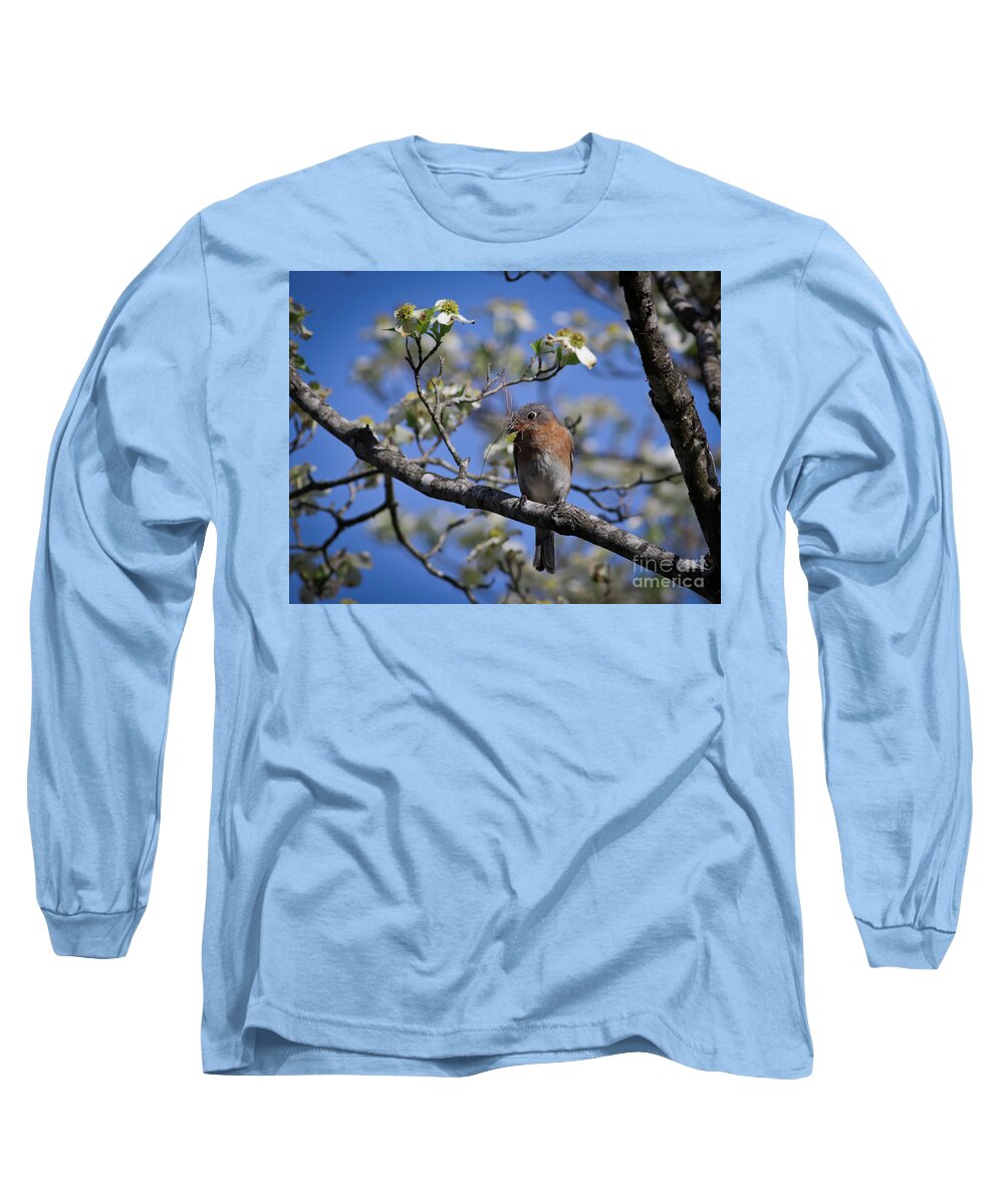 Female Long Sleeve T-Shirt featuring the photograph Nest Building by Douglas Stucky