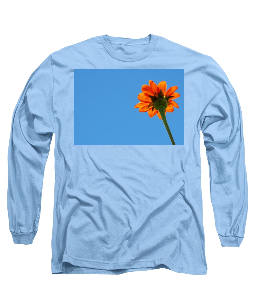 Orange Flower Against Clear Blue Sky Long Sleeve T-Shirt featuring the photograph Orange flower on blue sky by Debbie Karnes