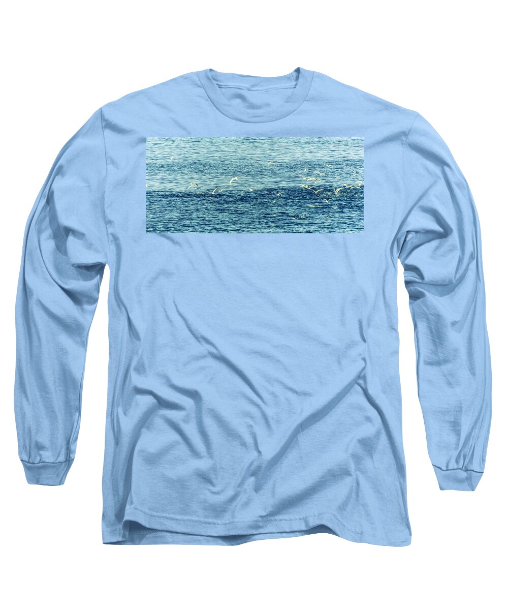 Birds Long Sleeve T-Shirt featuring the photograph Seagulls by Patrick Kain