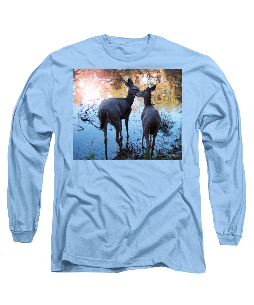 Deer Long Sleeve T-Shirt featuring the photograph Shabbat Shalom by Bill Stephens