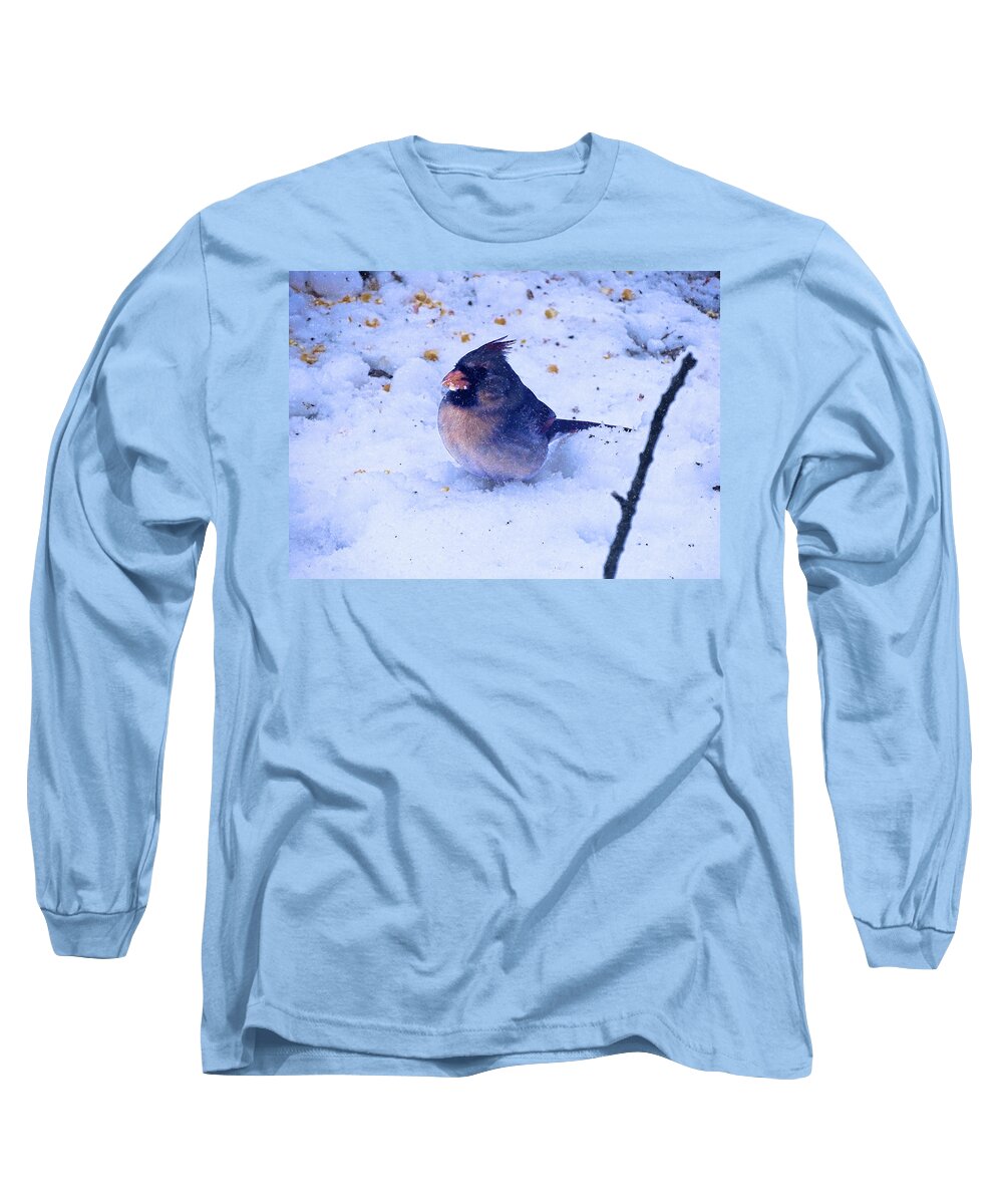 Cardinal Long Sleeve T-Shirt featuring the photograph Snow Bird by Theresa Campbell