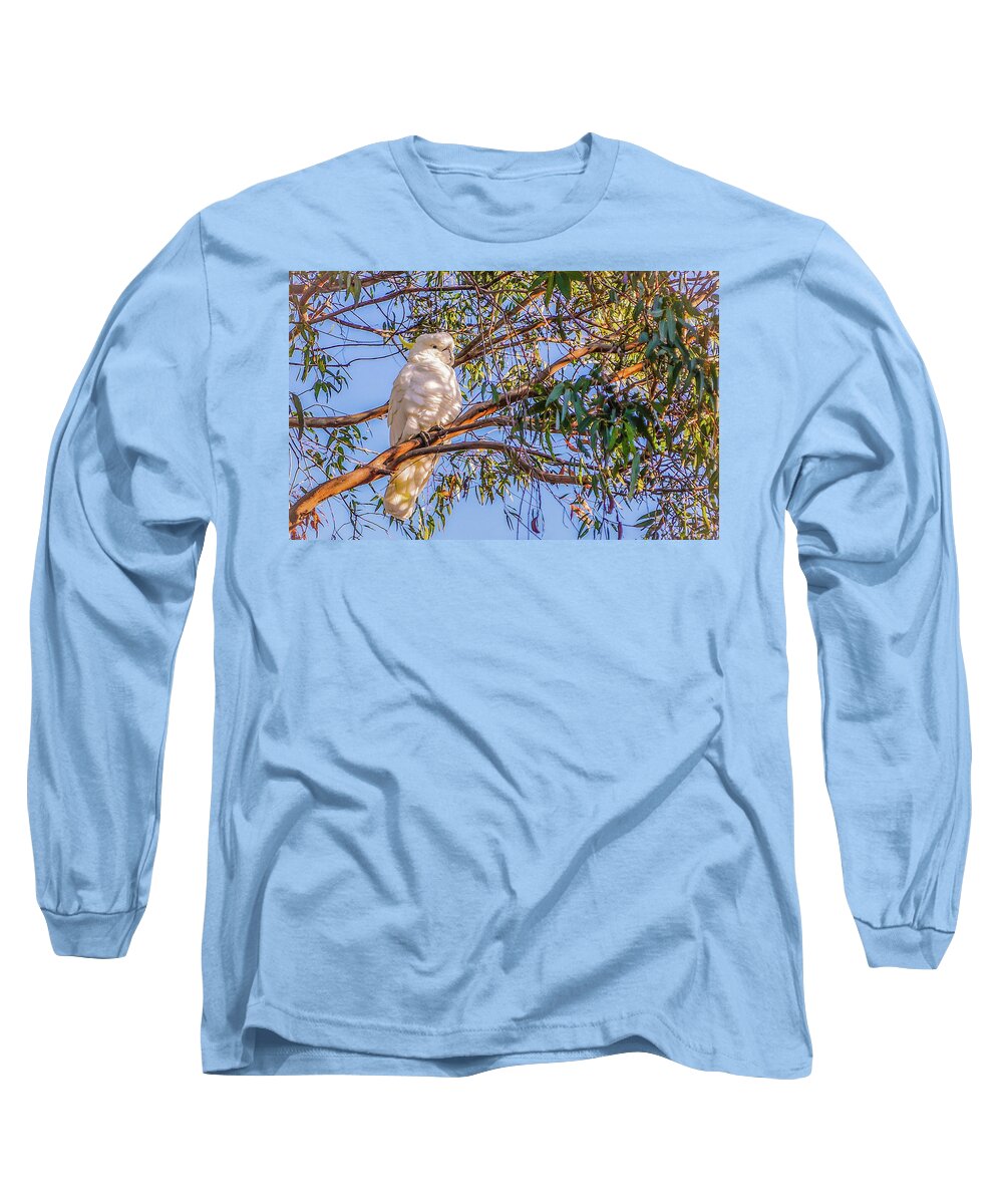 Birds Of The World Series By Lexa Harpell Long Sleeve T-Shirt featuring the photograph Sulphur-Crested Cockatoo #2 by Lexa Harpell