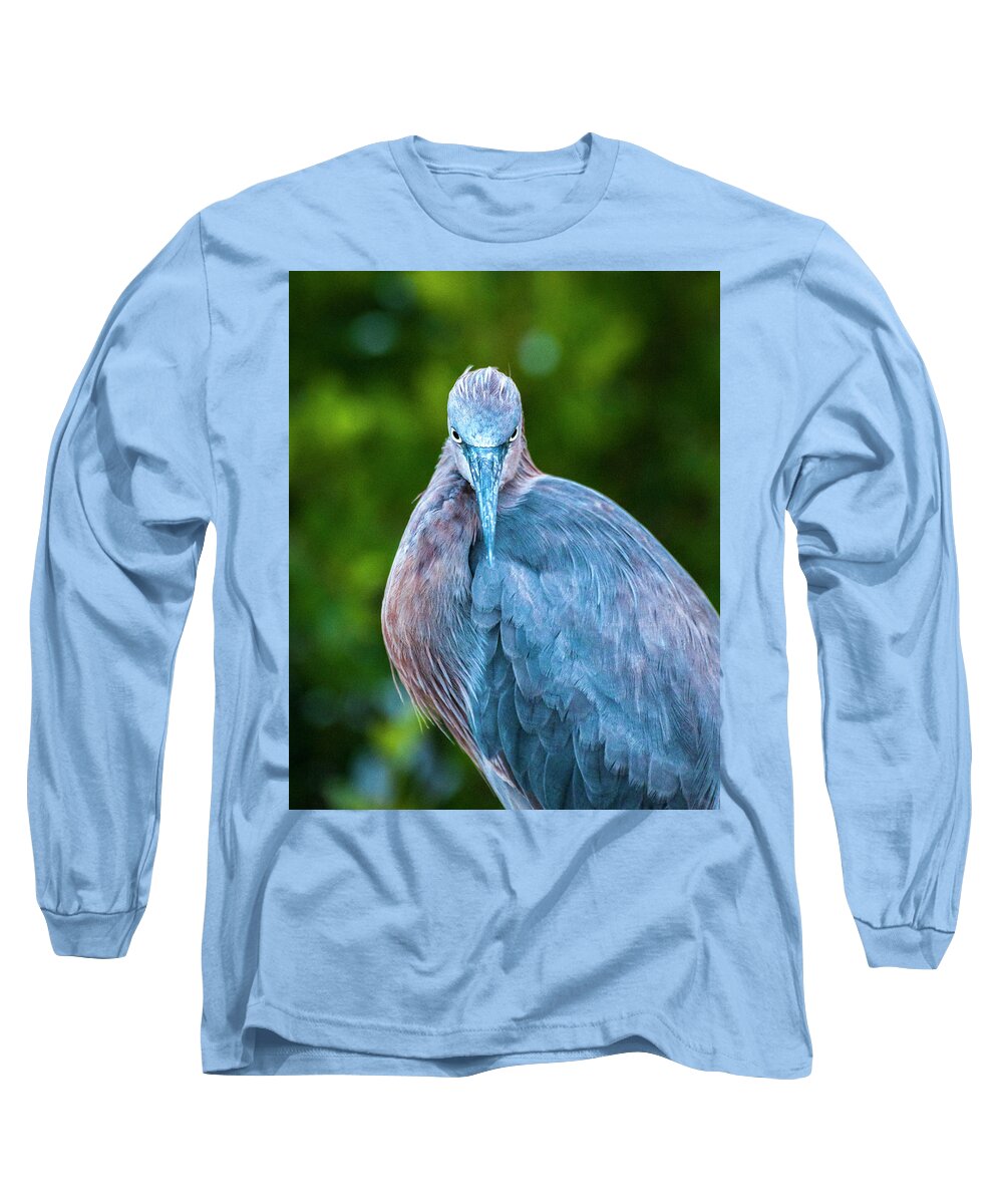 Bird Long Sleeve T-Shirt featuring the photograph The Reddish Egret Stare by Ginger Stein