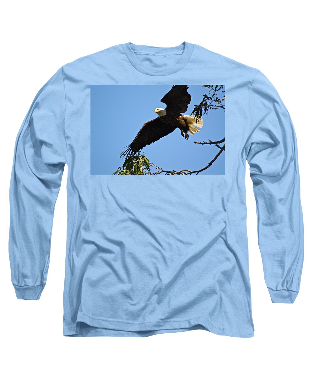 Birds Long Sleeve T-Shirt featuring the photograph Time To Go by Diana Hatcher