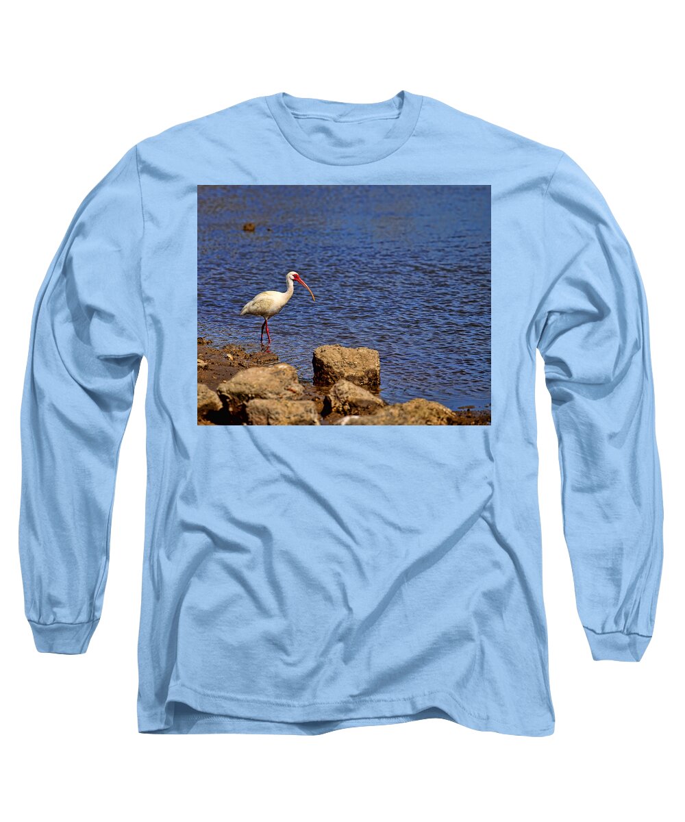 White Ibis Long Sleeve T-Shirt featuring the photograph White Ibis by Judy Vincent