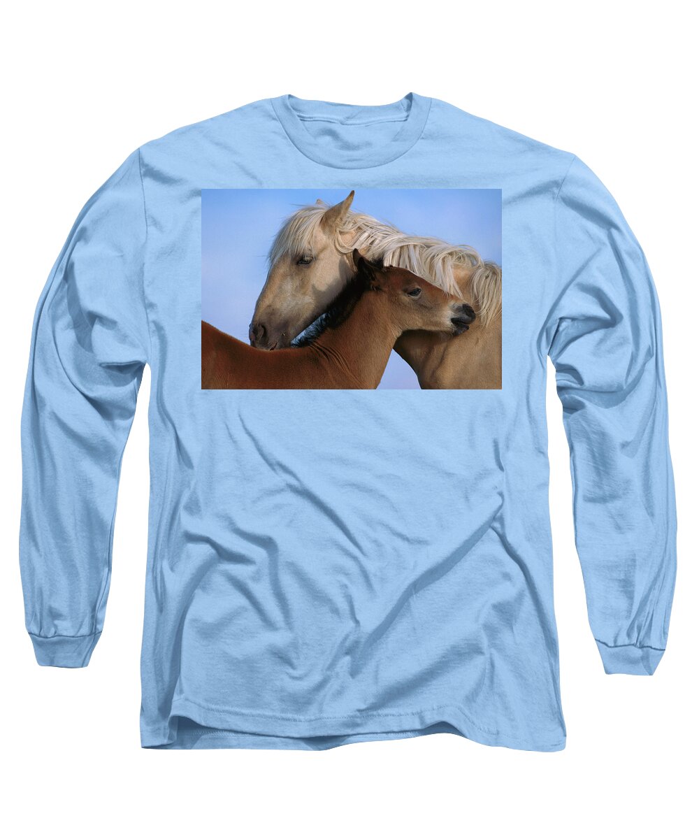 00340033 Long Sleeve T-Shirt featuring the photograph Wild Mustang Filly and Foal by Yva Momatiuk and John Eastcott