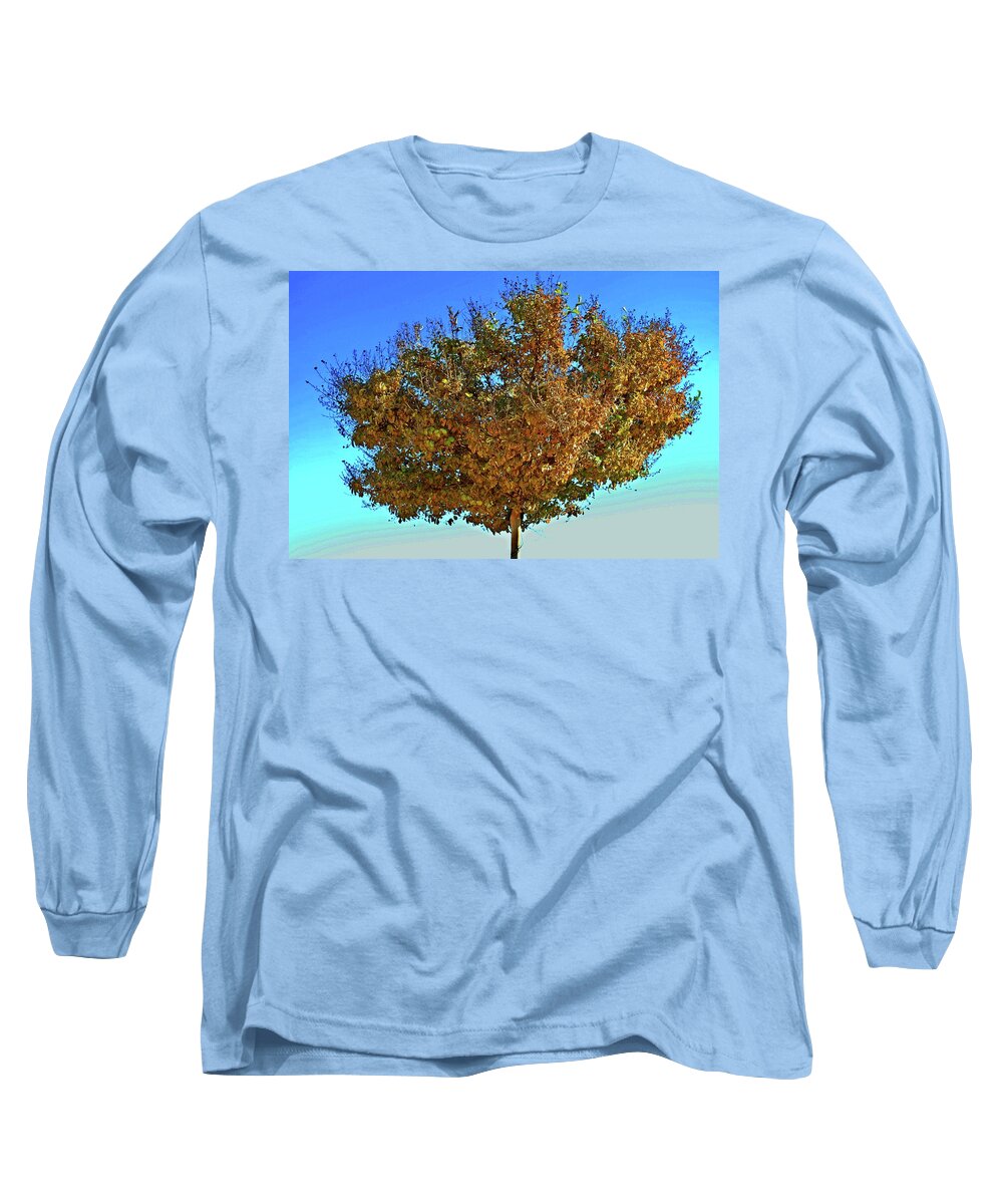 Tree Long Sleeve T-Shirt featuring the photograph Yellow Tree Blue Sky by Matt Quest