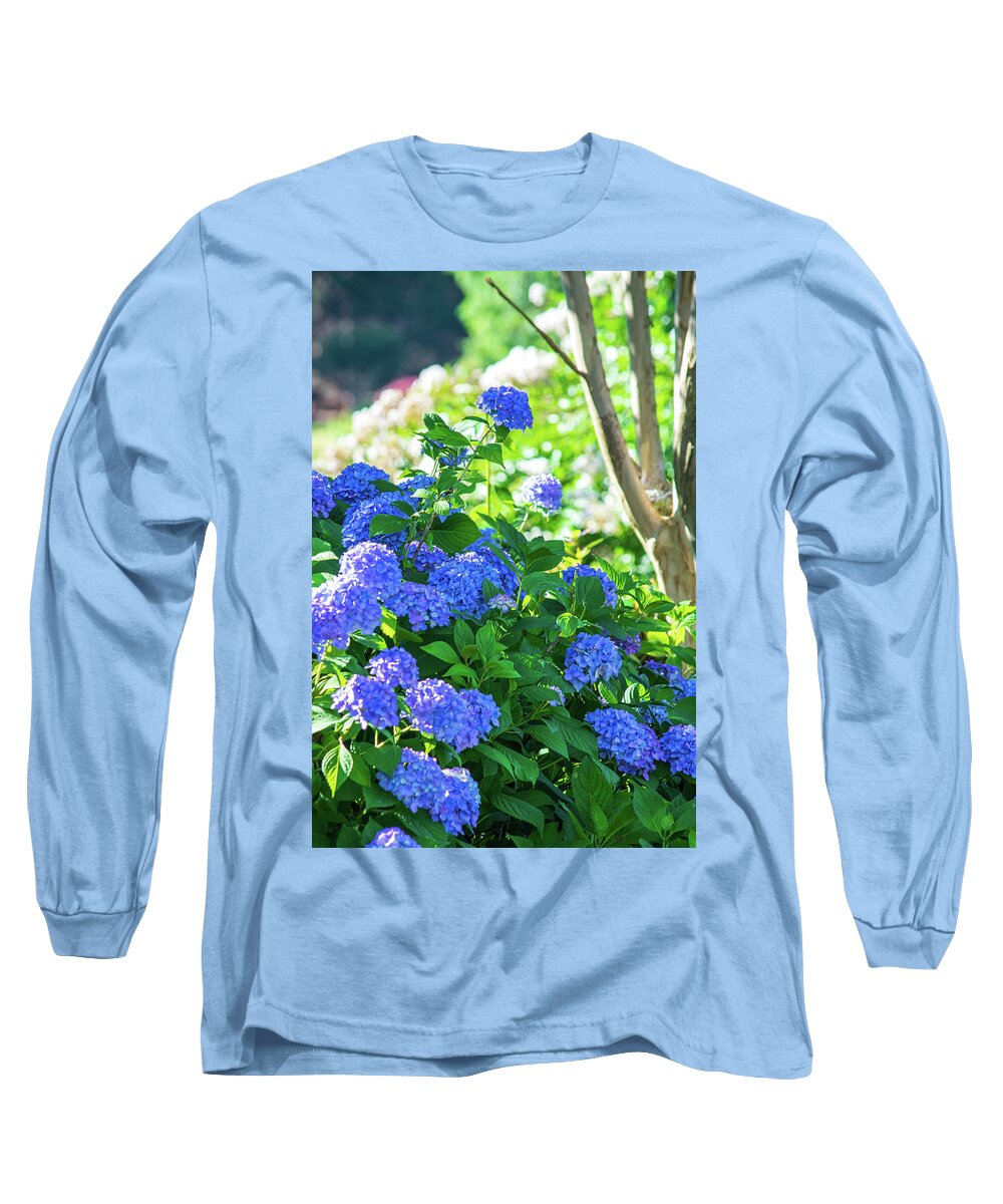 Hydrangeas Long Sleeve T-Shirt featuring the photograph Blue Hydrangea Landscape Vertical by Mary Ann Artz