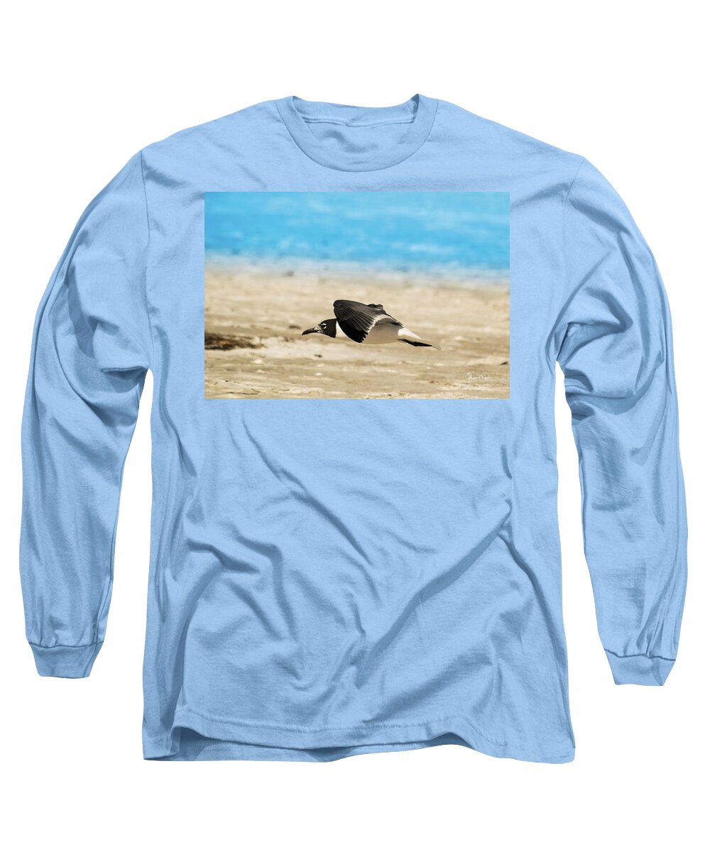 Susan Molnar Long Sleeve T-Shirt featuring the photograph Gull at Lido Beach IV by Susan Molnar