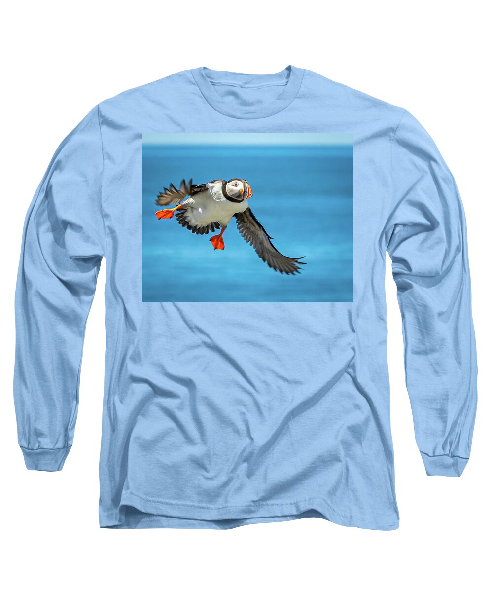 Atlantic Puffin Long Sleeve T-Shirt featuring the photograph Incoming Puffin by Colin Chase