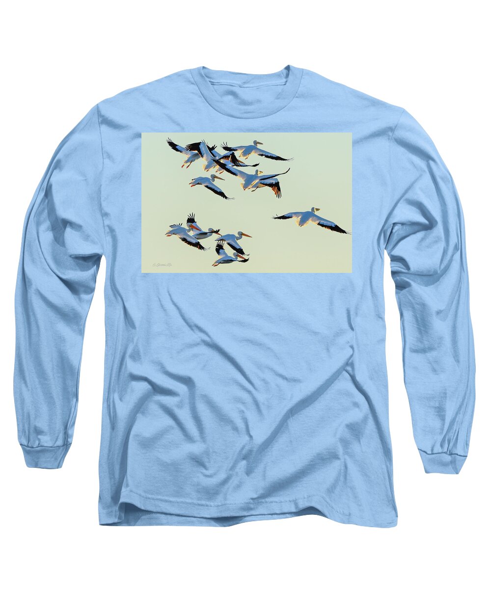 White Long Sleeve T-Shirt featuring the photograph Port Bay Pelicans by Christopher Rice