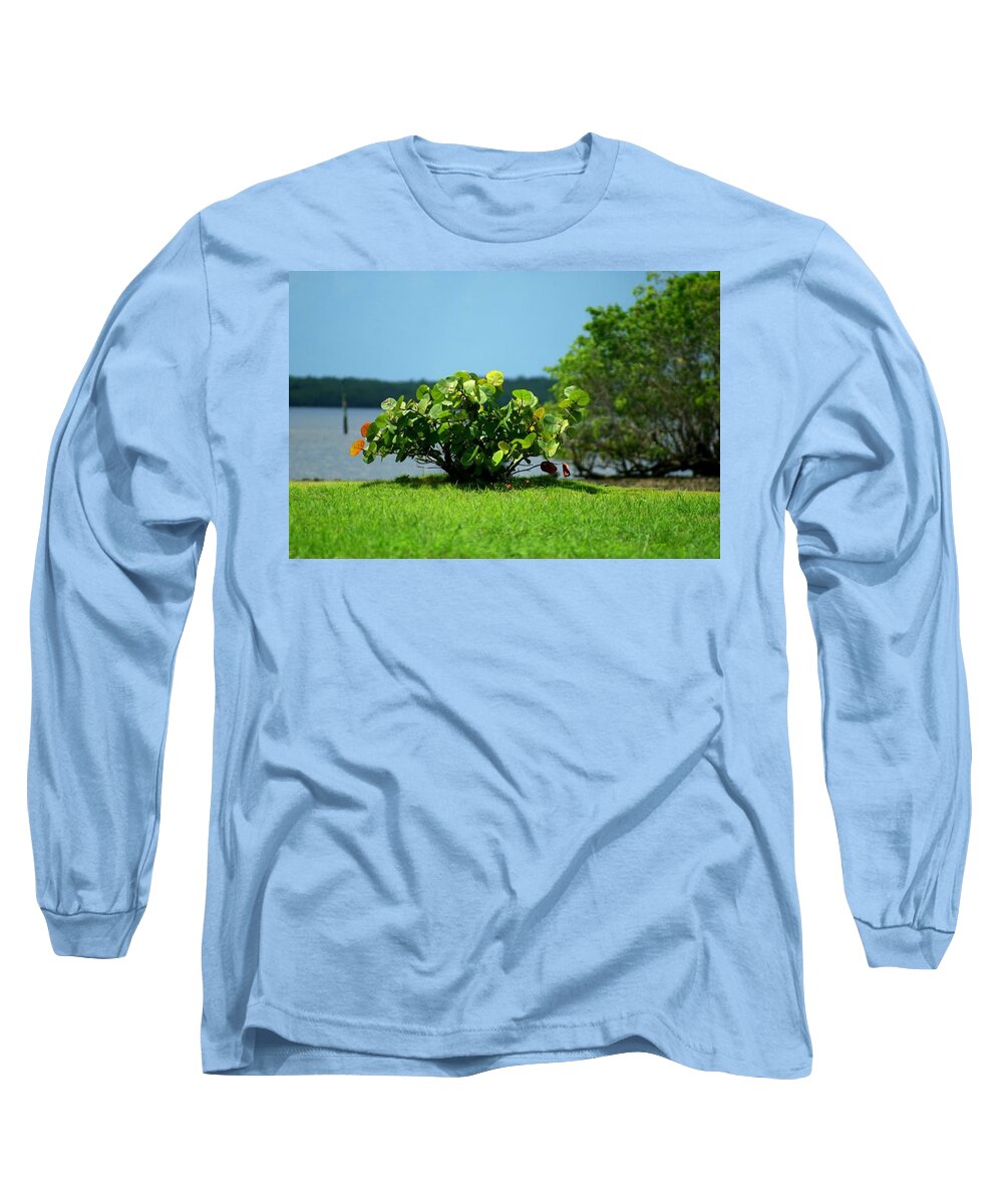 Florida Long Sleeve T-Shirt featuring the photograph Sea Grapes by Lindsey Floyd