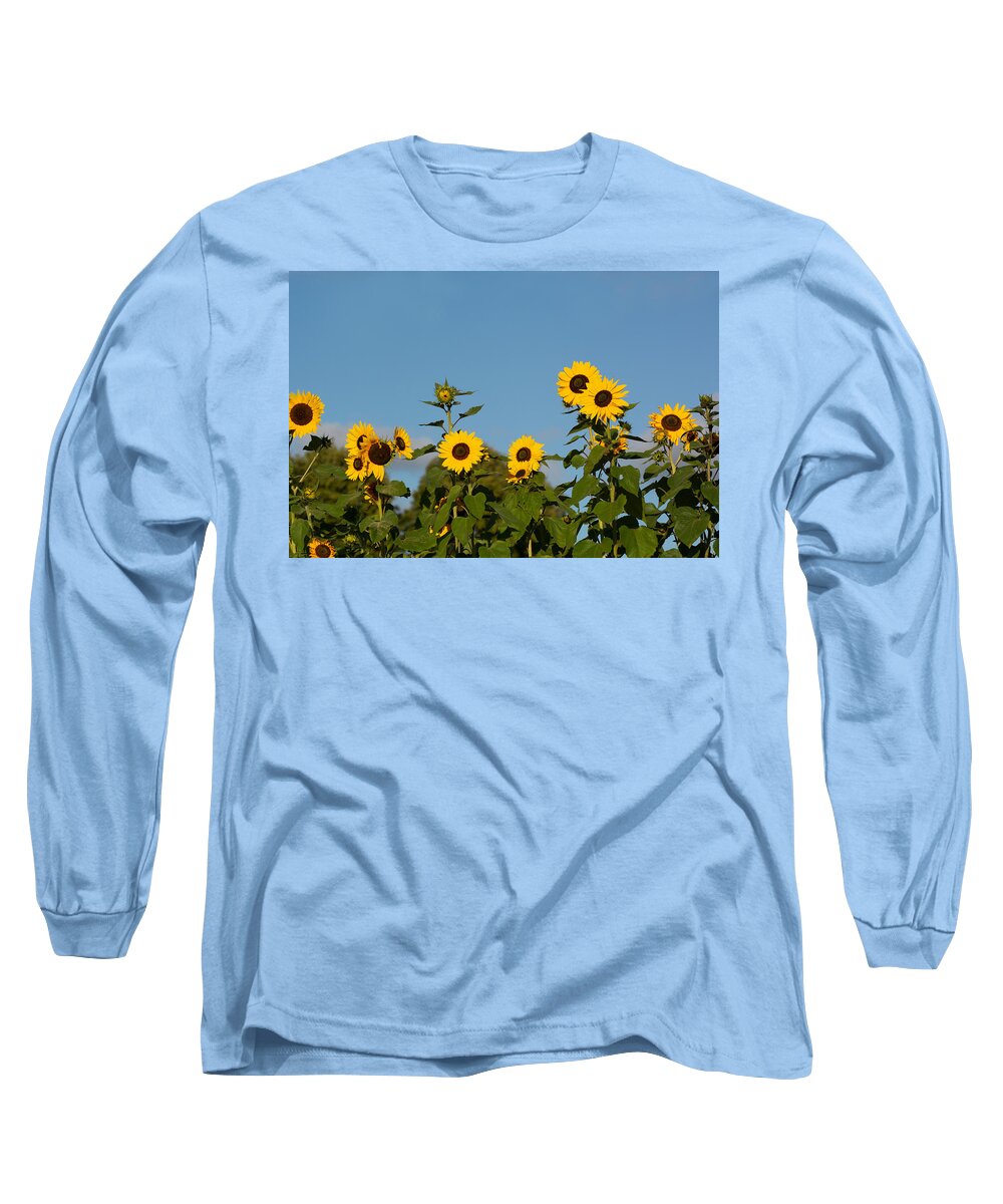 Nature Long Sleeve T-Shirt featuring the photograph Sunflower Lineup by Douglas Wielfaert