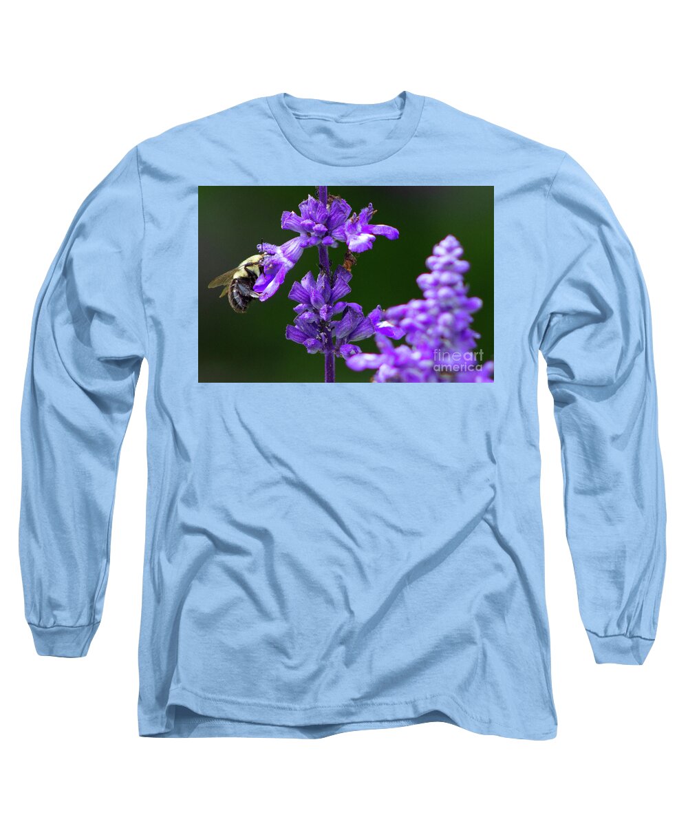 Bumble Bee Long Sleeve T-Shirt featuring the photograph The Pollenator by Alice Mainville