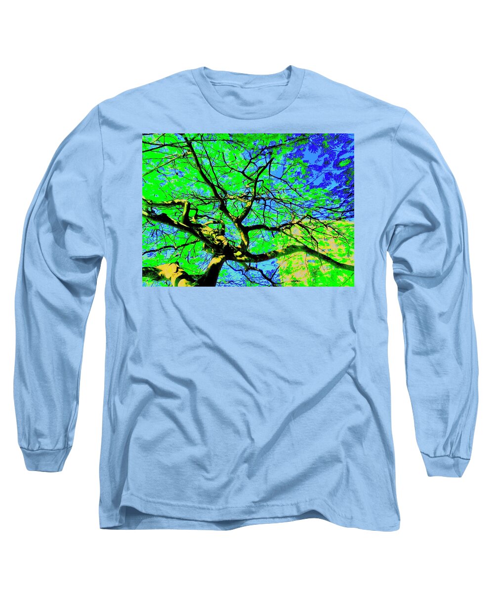 Tree Long Sleeve T-Shirt featuring the photograph Up a Tree Three by Debra Grace Addison