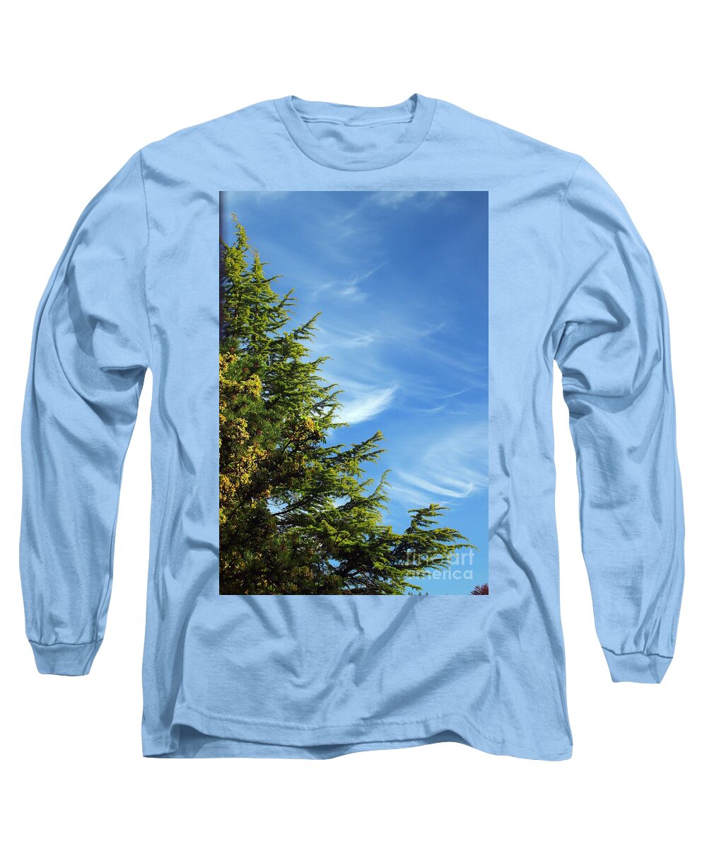 Clouds Long Sleeve T-Shirt featuring the photograph Clouds Imitating Trees by Kimberly Furey