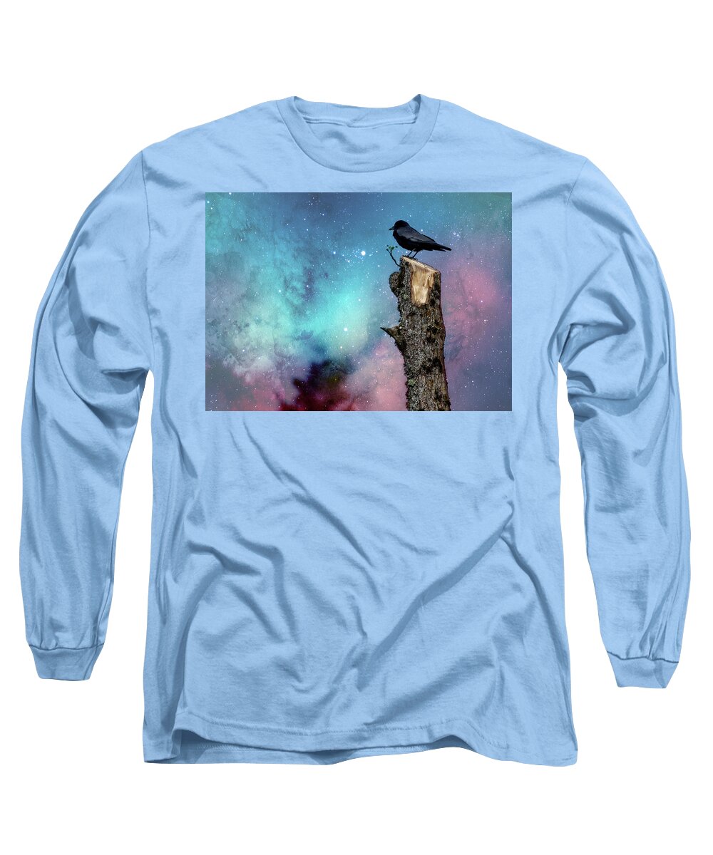 Crow Long Sleeve T-Shirt featuring the photograph Crow on Tree Stump by Rebecca Cozart
