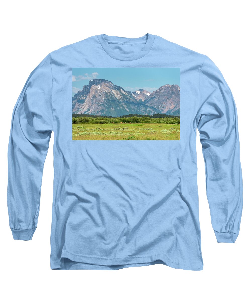 Elk Long Sleeve T-Shirt featuring the photograph Grazing Teton Elk by Tara Krauss
