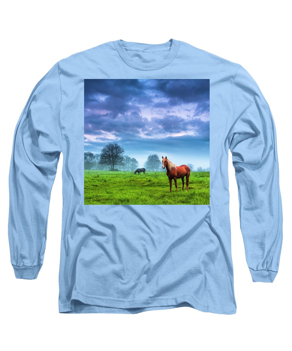 Fog Long Sleeve T-Shirt featuring the photograph Green Morn by Evgeni Dinev