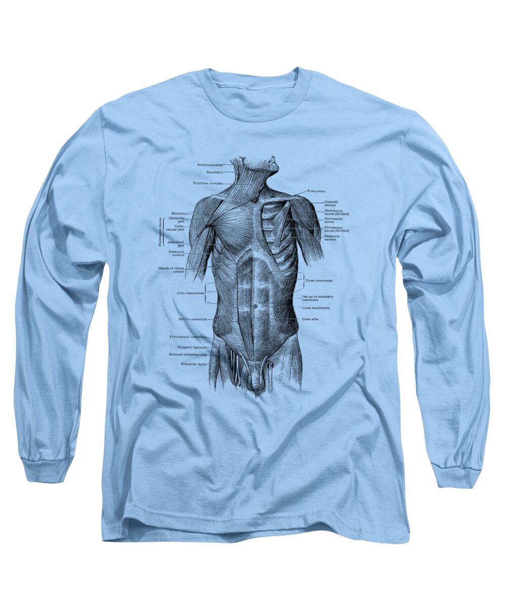 Male Muscular System Long Sleeve T-Shirt featuring the drawing Male Upper Body Muscular System - Vintage Anatomy 2 by Vintage Anatomy Prints