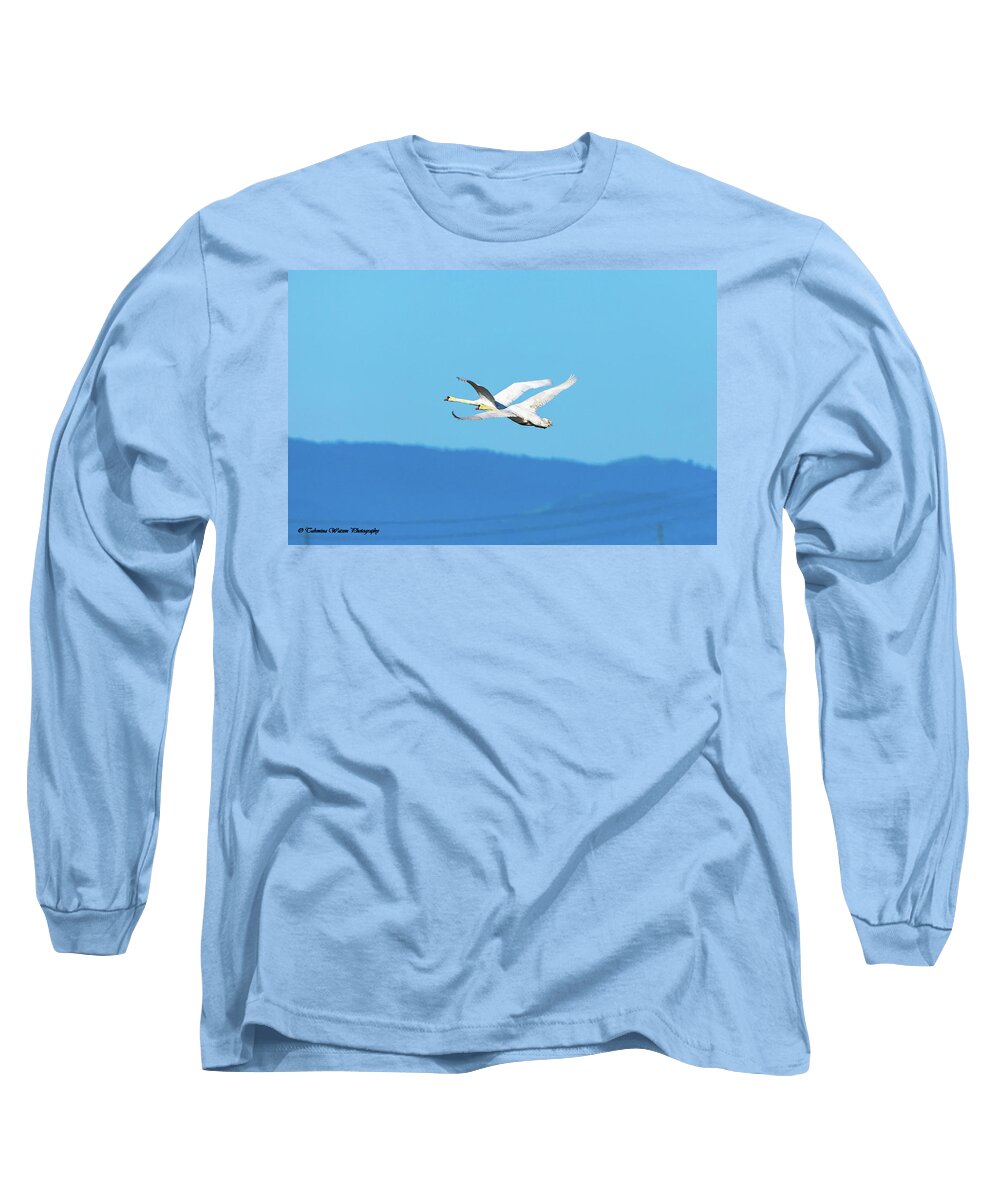 Swans Long Sleeve T-Shirt featuring the photograph Mute swans in flight by Tahmina Watson