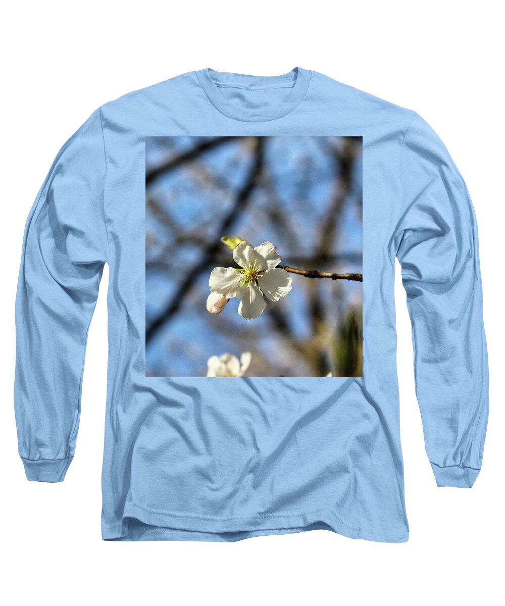 Newark Long Sleeve T-Shirt featuring the photograph Newark Cherry Blossom Series - 7 by Christopher Lotito
