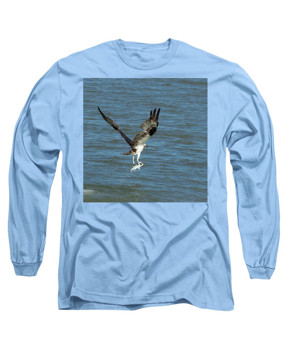 Osprey Long Sleeve T-Shirt featuring the photograph Osprey Goes Fishing 2 by Patricia Schaefer