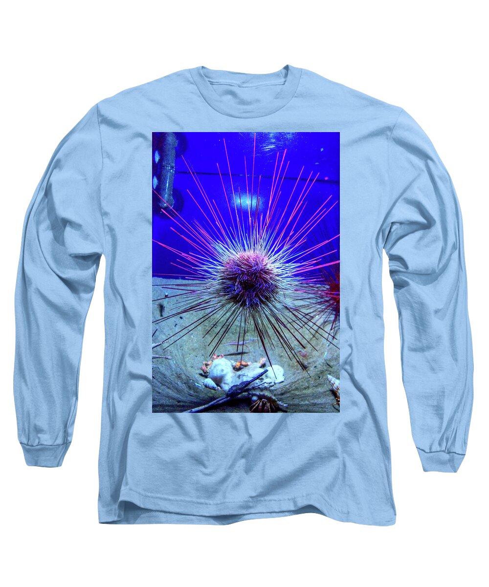 Sea Urchin Long Sleeve T-Shirt featuring the photograph Urchin by Eric Hafner