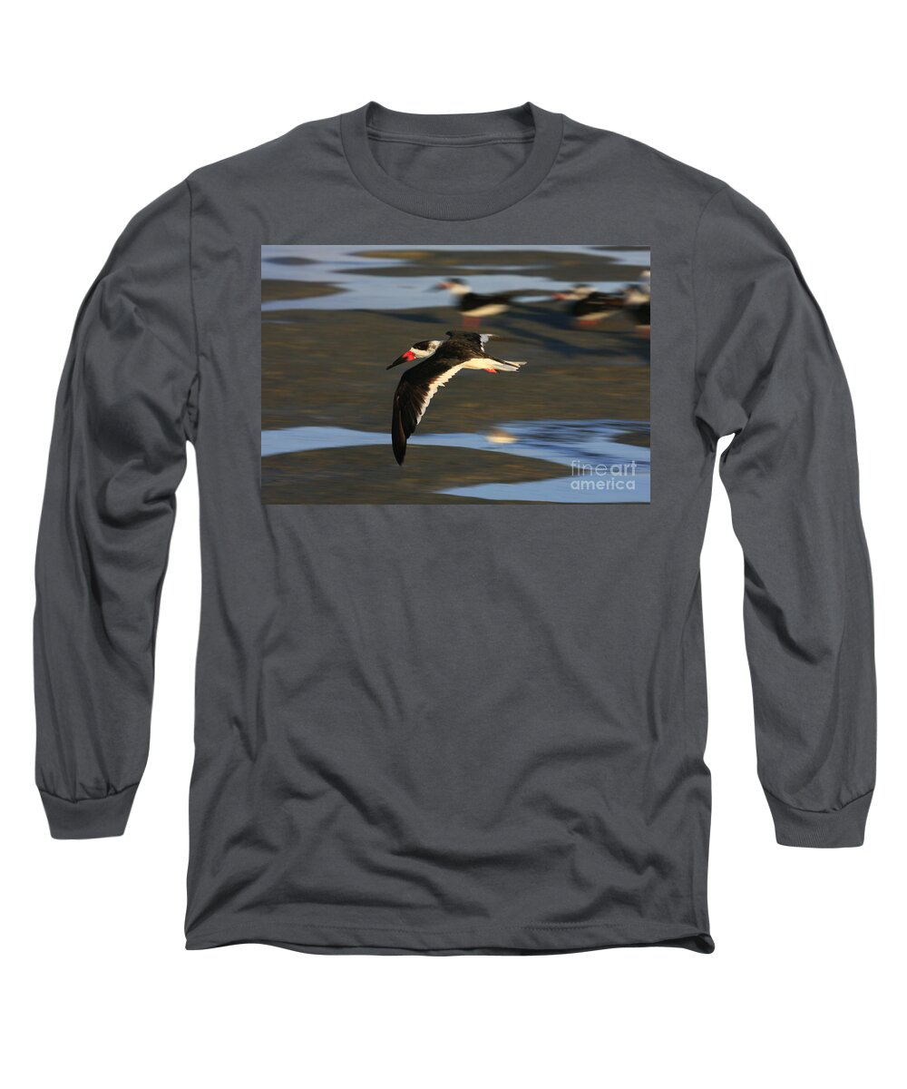 Birds Long Sleeve T-Shirt featuring the photograph Black Skimmer Beach #2 by John F Tsumas