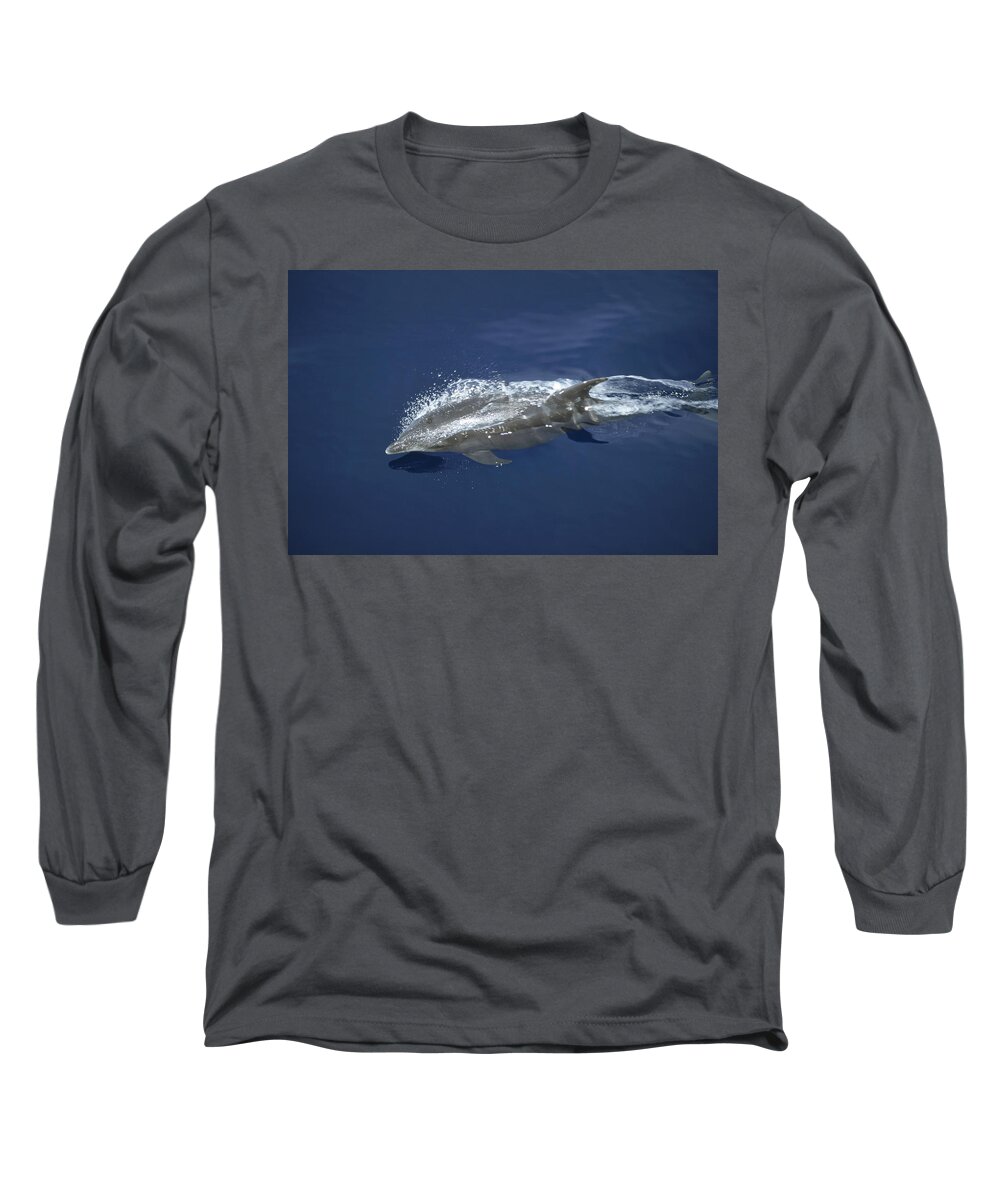 Feb0514 Long Sleeve T-Shirt featuring the photograph Bottlenose Dolphin Leaping Playfully #1 by Tui De Roy