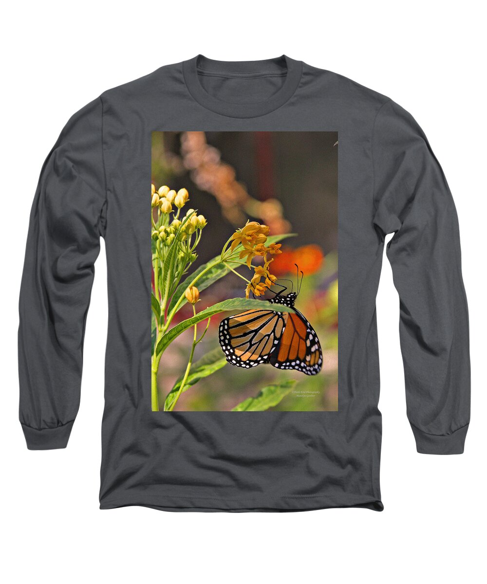 Butterfly Long Sleeve T-Shirt featuring the photograph Clinging Butterfly by Matalyn Gardner