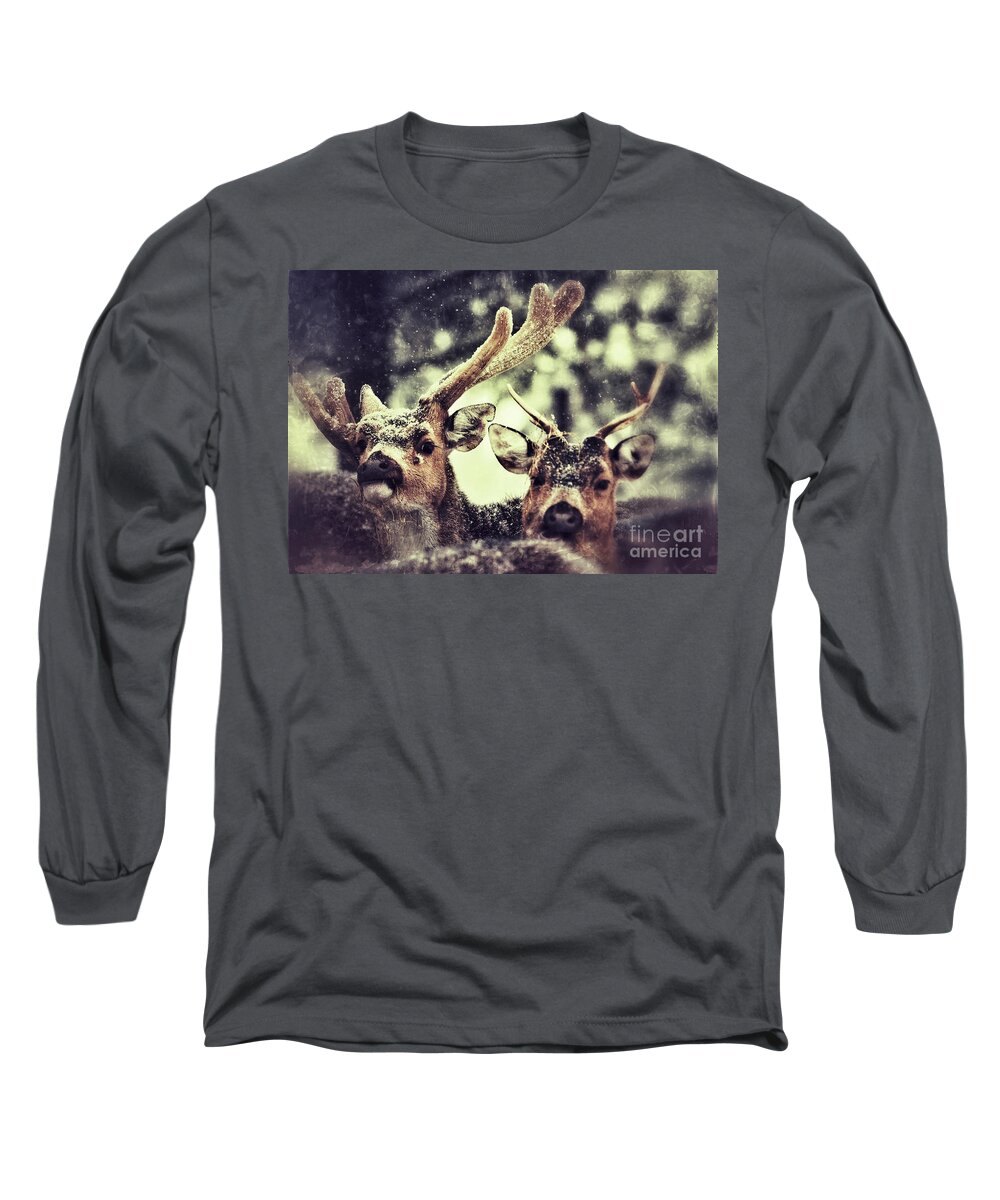 Closeup Long Sleeve T-Shirt featuring the photograph Deer in the snow #2 by Nick Biemans