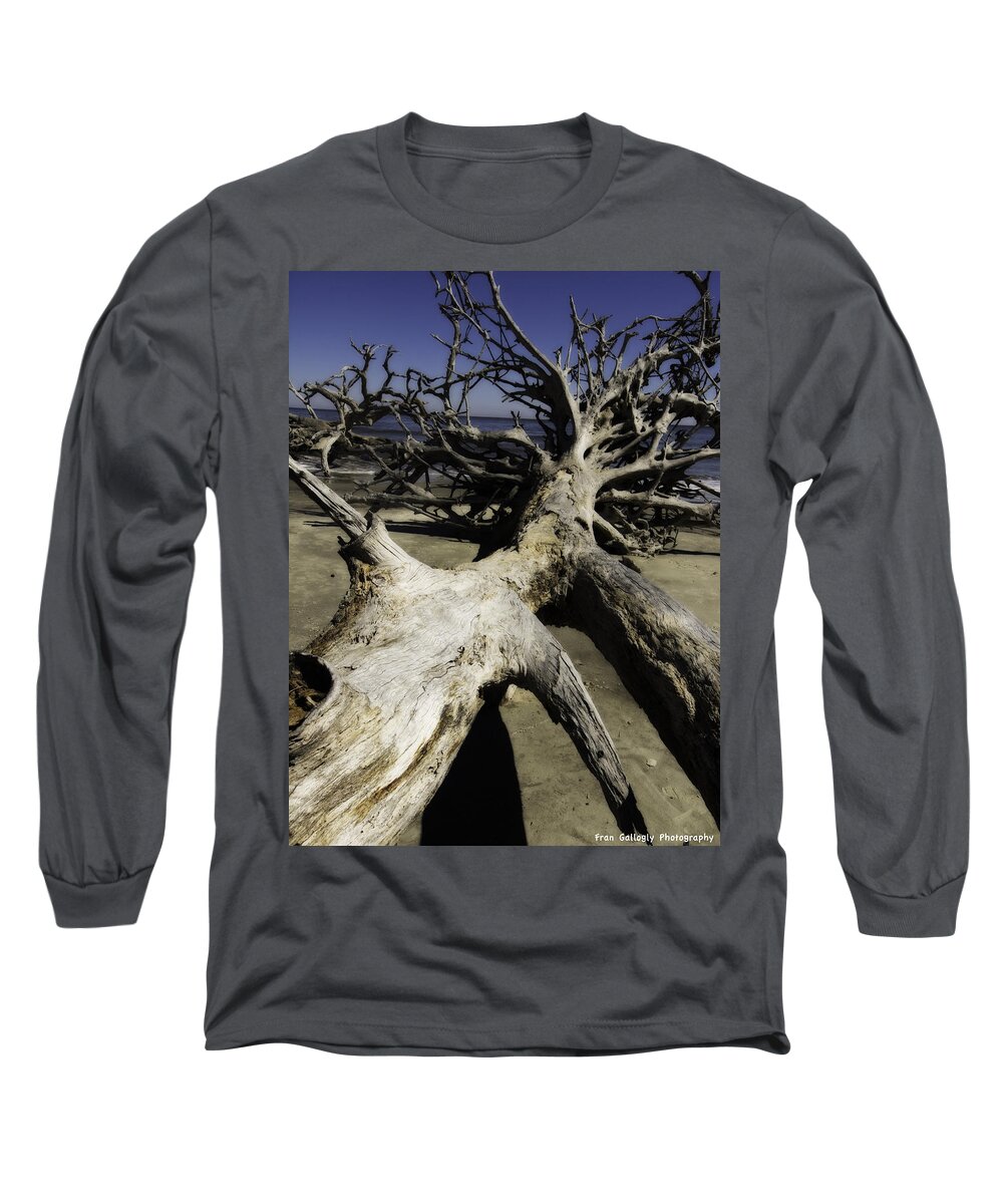 Georgia Long Sleeve T-Shirt featuring the photograph Driftwood #1 by Fran Gallogly