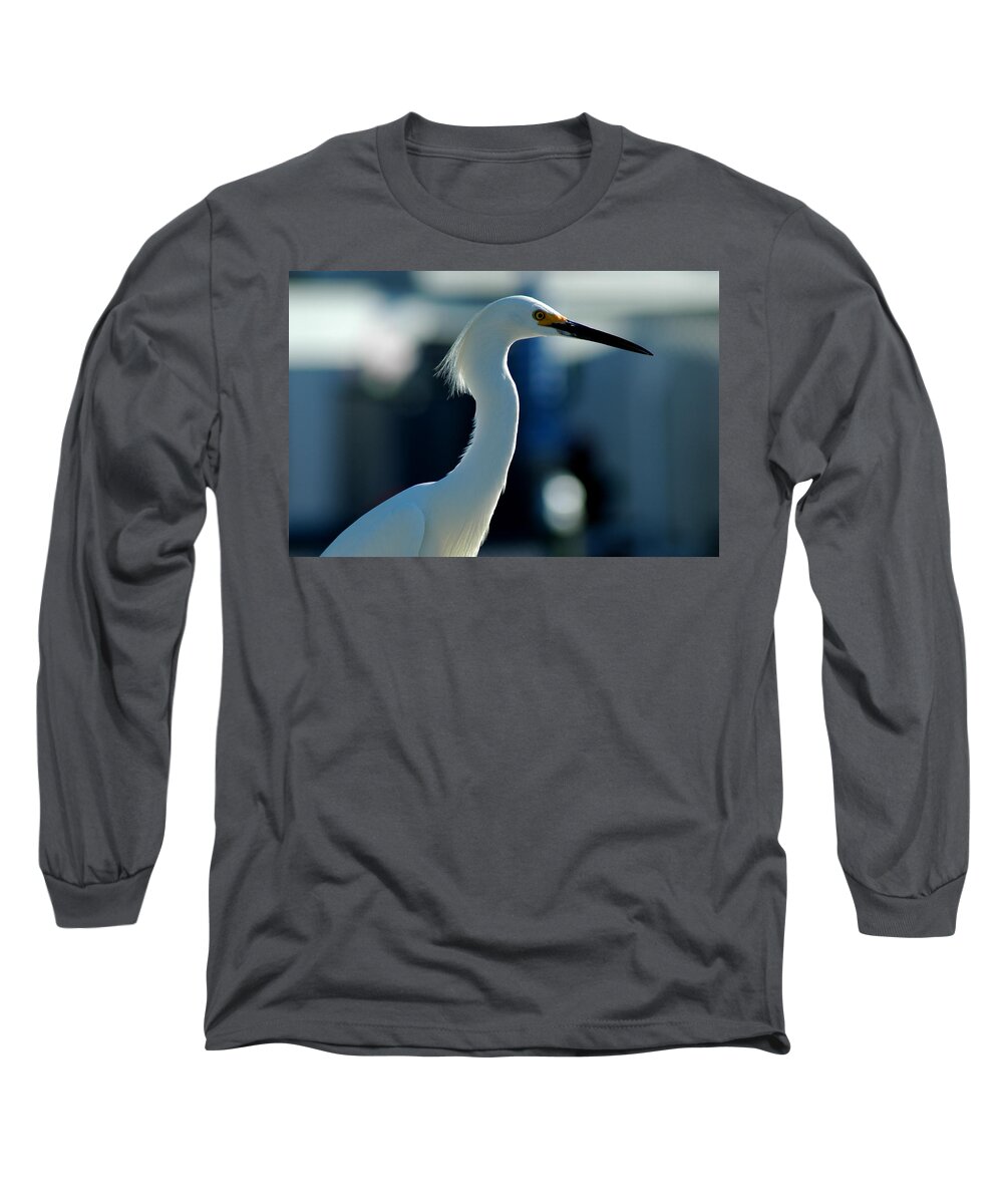 Egret Long Sleeve T-Shirt featuring the photograph Egret Of Matlacha 2 #1 by David Weeks