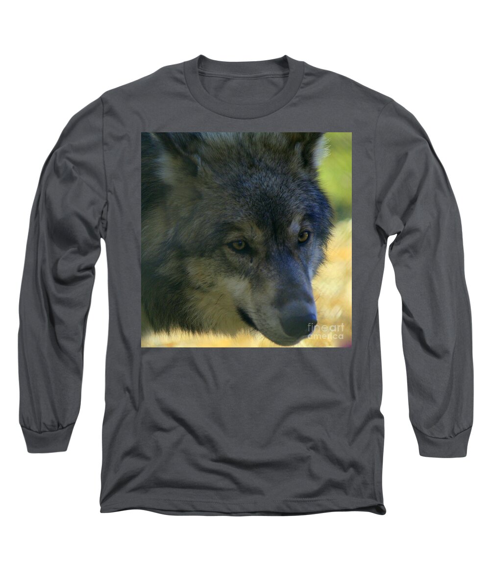 Wolf Long Sleeve T-Shirt featuring the photograph Gray Wolf by Neal Eslinger