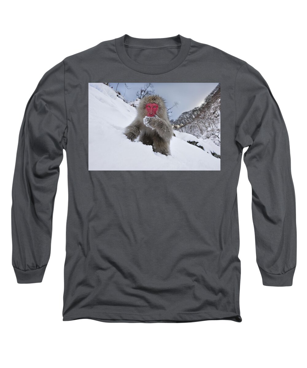 Thomas Marent Long Sleeve T-Shirt featuring the photograph Japanese Macaque In Snow Jigokudani #1 by Thomas Marent