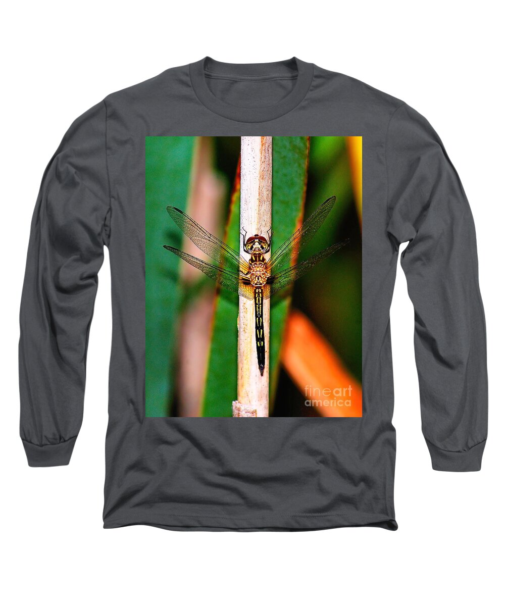 Animal Long Sleeve T-Shirt featuring the photograph Morning Dragon Fly #1 by Nick Zelinsky Jr