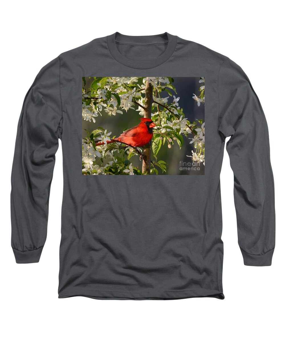 Nature Long Sleeve T-Shirt featuring the photograph Red Cardinal In Flowers by Nava Thompson