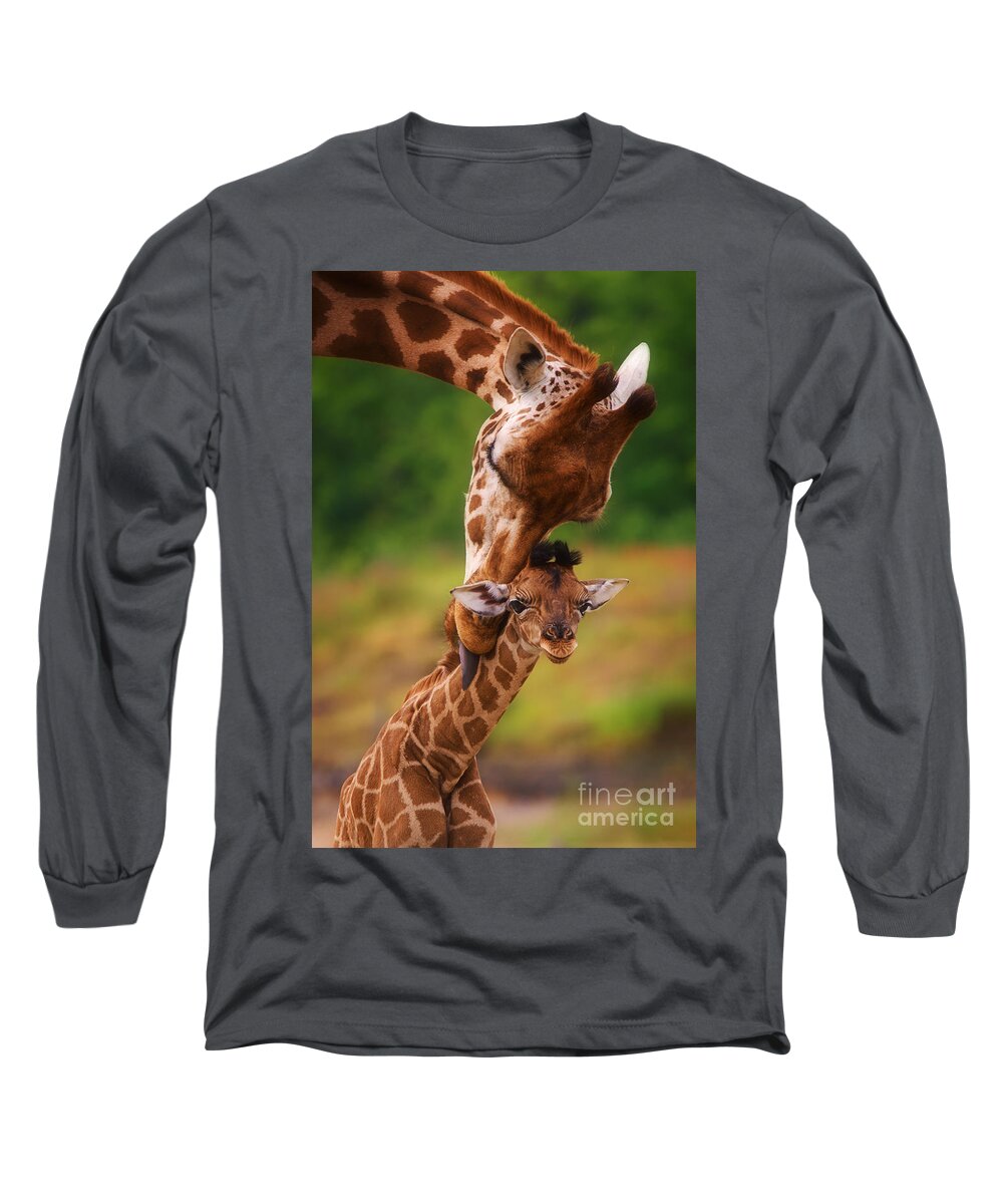 Africa Long Sleeve T-Shirt featuring the photograph Rothschild Giraffe with calf #2 by Nick Biemans
