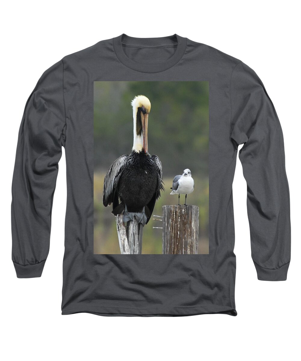 Pelican Long Sleeve T-Shirt featuring the photograph Side by Side by Carol Erikson