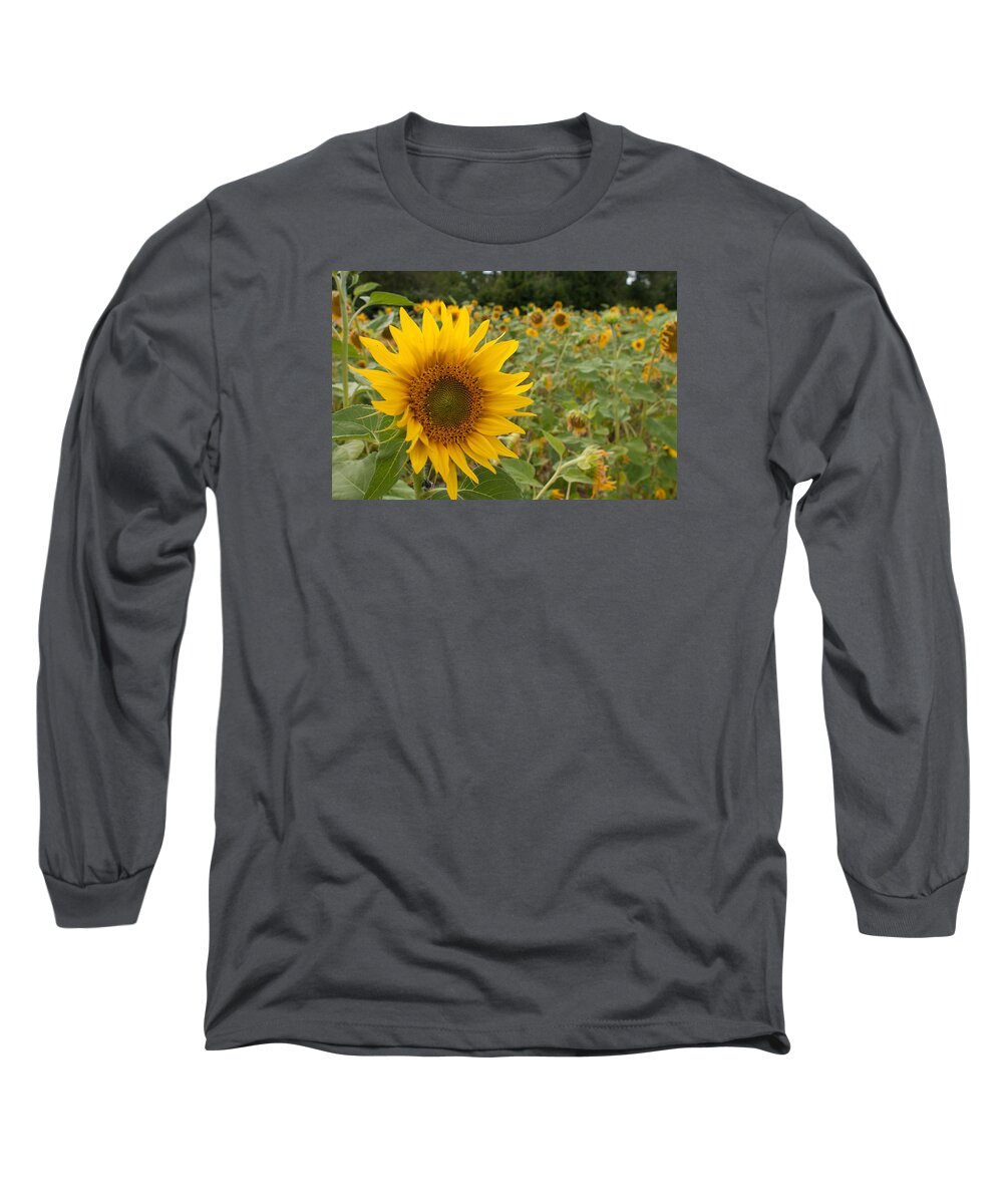 Miguel Long Sleeve T-Shirt featuring the photograph Sun Flower Fields #2 by Miguel Winterpacht