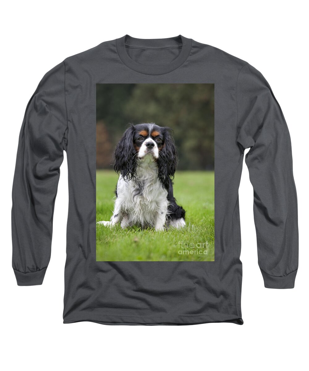 Cavalier King Charles Spaniel Long Sleeve T-Shirt featuring the photograph 111216p255 by Arterra Picture Library