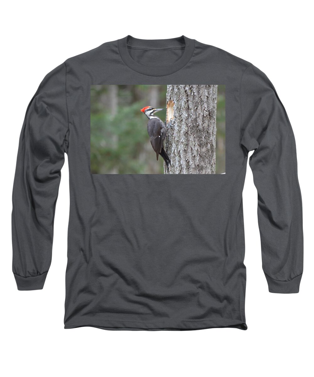 Pileated Woodpecker Long Sleeve T-Shirt featuring the photograph Pileated Woodpecker #2 by James Petersen