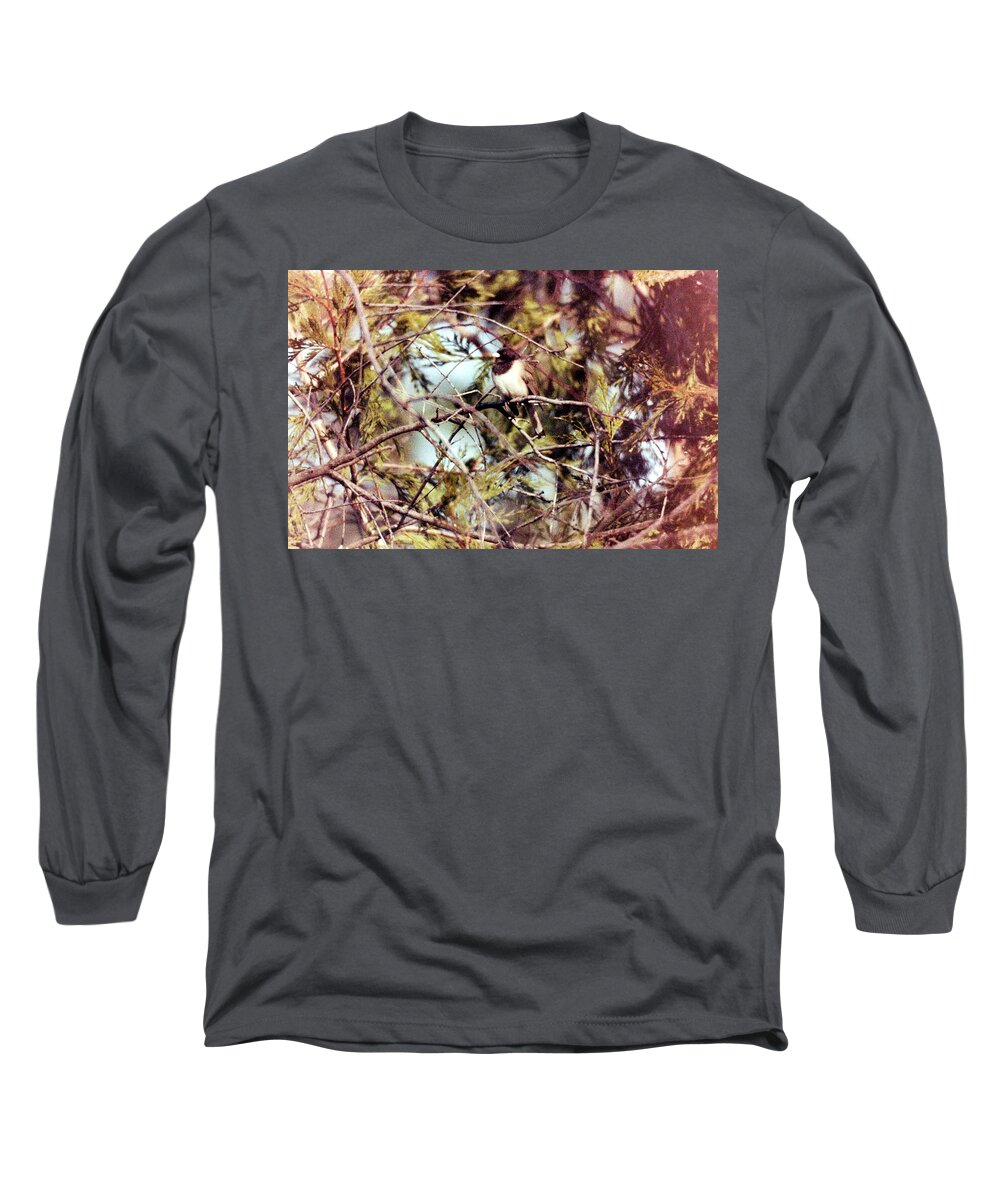 Birds Long Sleeve T-Shirt featuring the photograph Bird in tree #3 by Karl Rose