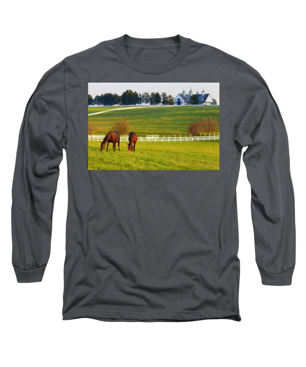Farm Long Sleeve T-Shirt featuring the photograph Horse Farm #3 by Alexey Stiop